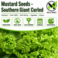 Southern Giant Curled Mustard Seeds – Heirloom, Non-GMO, 1935 AAS Winner