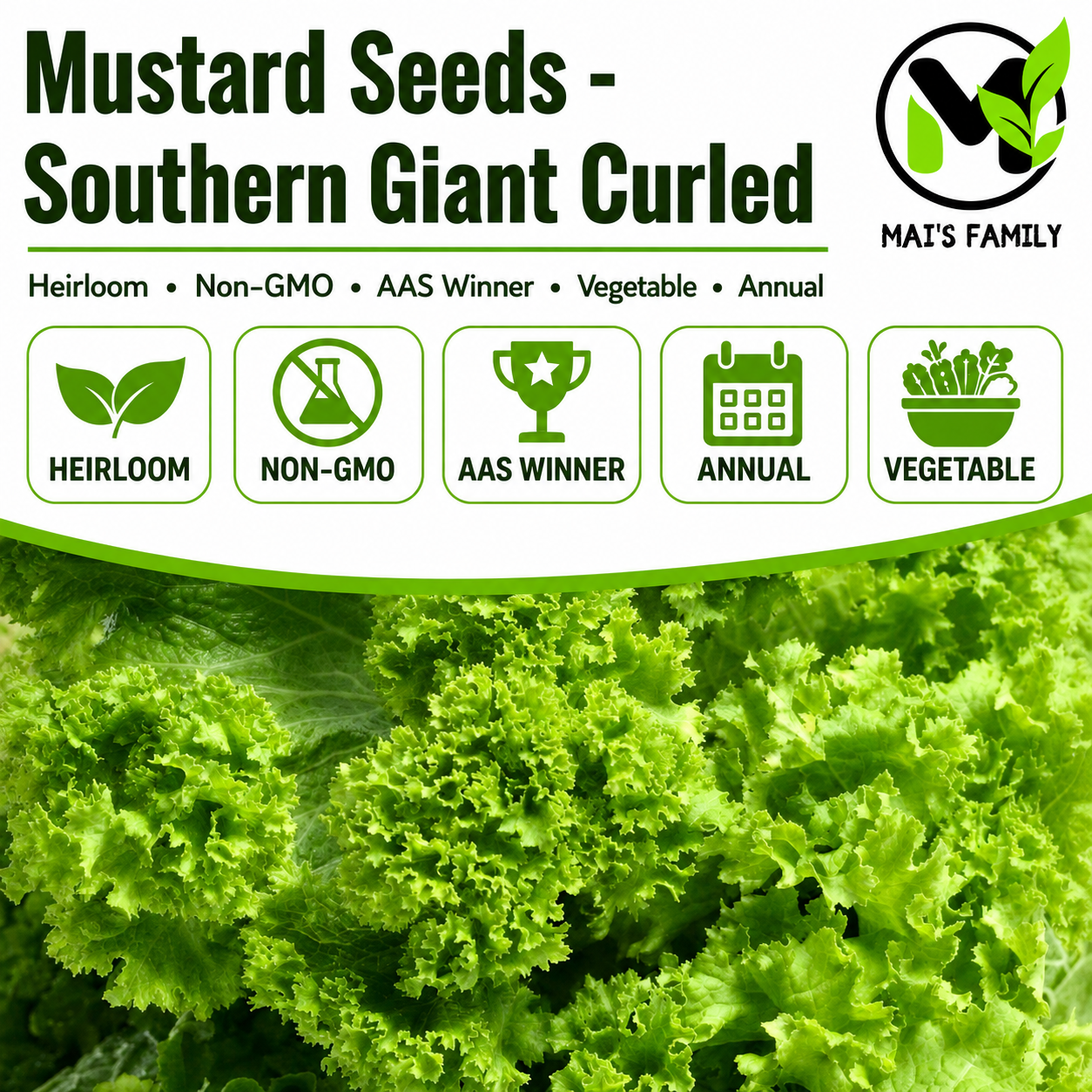 Southern Giant Curled Mustard Seeds – Heirloom, Non-GMO, 1935 AAS Winner