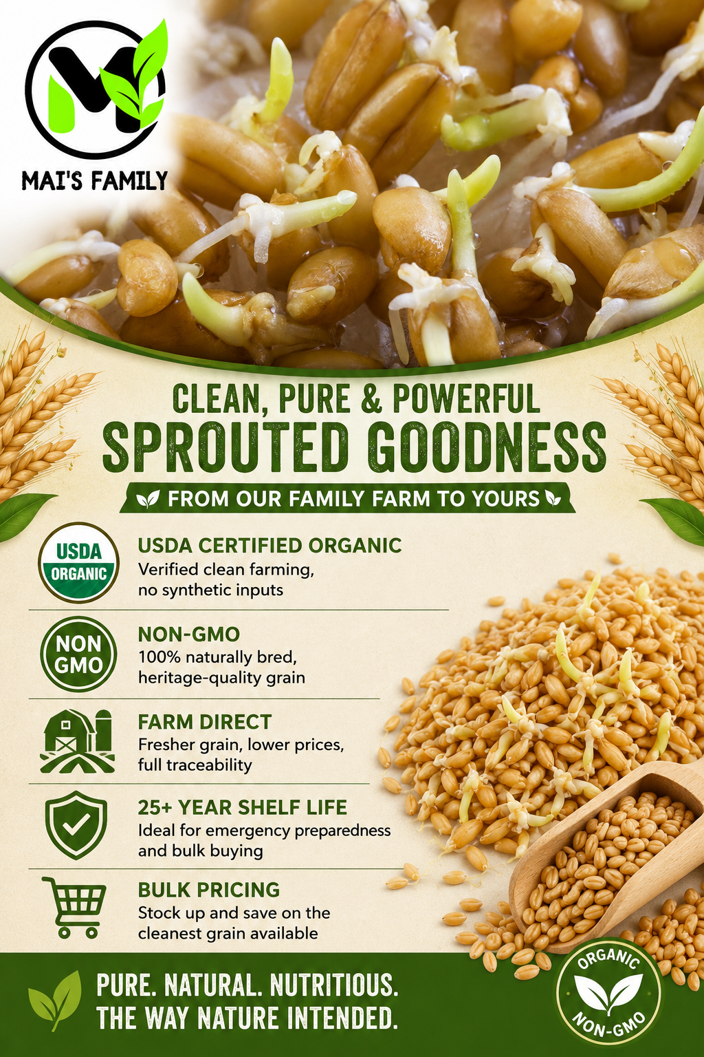Organic Hard White Wheat Berries Seeds – Mill Direct Grain for Wheatgrass, Sprouting & Home Milling