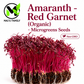Organic Red Garnet Amaranth Microgreen Seeds – Heirloom Non-GMO