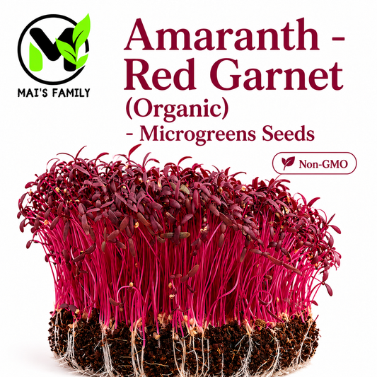 Organic Red Garnet Amaranth Microgreen Seeds – Heirloom Non-GMO