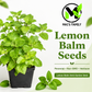 Lemon Balm Seeds – Melissa officinalis Heirloom Non-GMO Perennial Herb