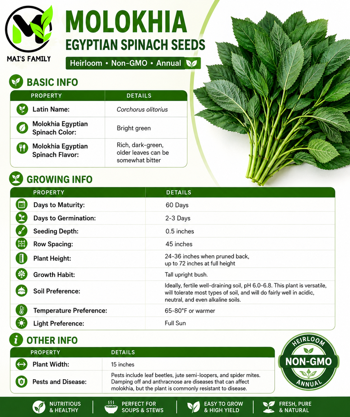 Molokhia Egyptian Spinach Seeds – Rau Đay Xanh | Corchorus olitorius | Heirloom Non-GMO