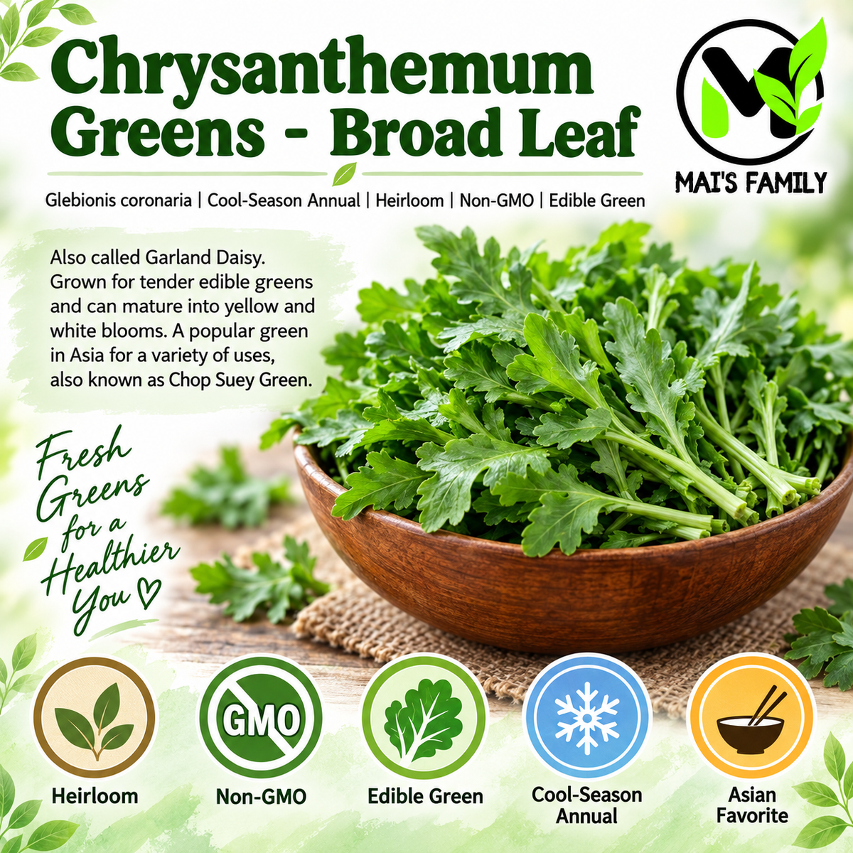 Broad Leaf Edible Chrysanthemum Seeds – Heirloom Non-GMO Tần Ô Lá Bự