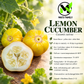 Lemon Cucumber Seeds – Heirloom Non-GMO Round Yellow Cucumber