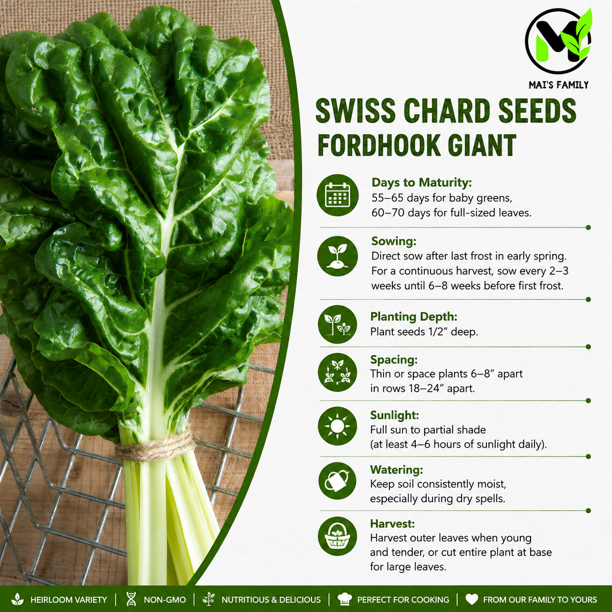 Swiss Chard- Fordhook Giant-Heirloom- Non GMO