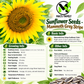 Mammoth Grey Stripe Sunflower Seeds – Giant Yellow Annual
