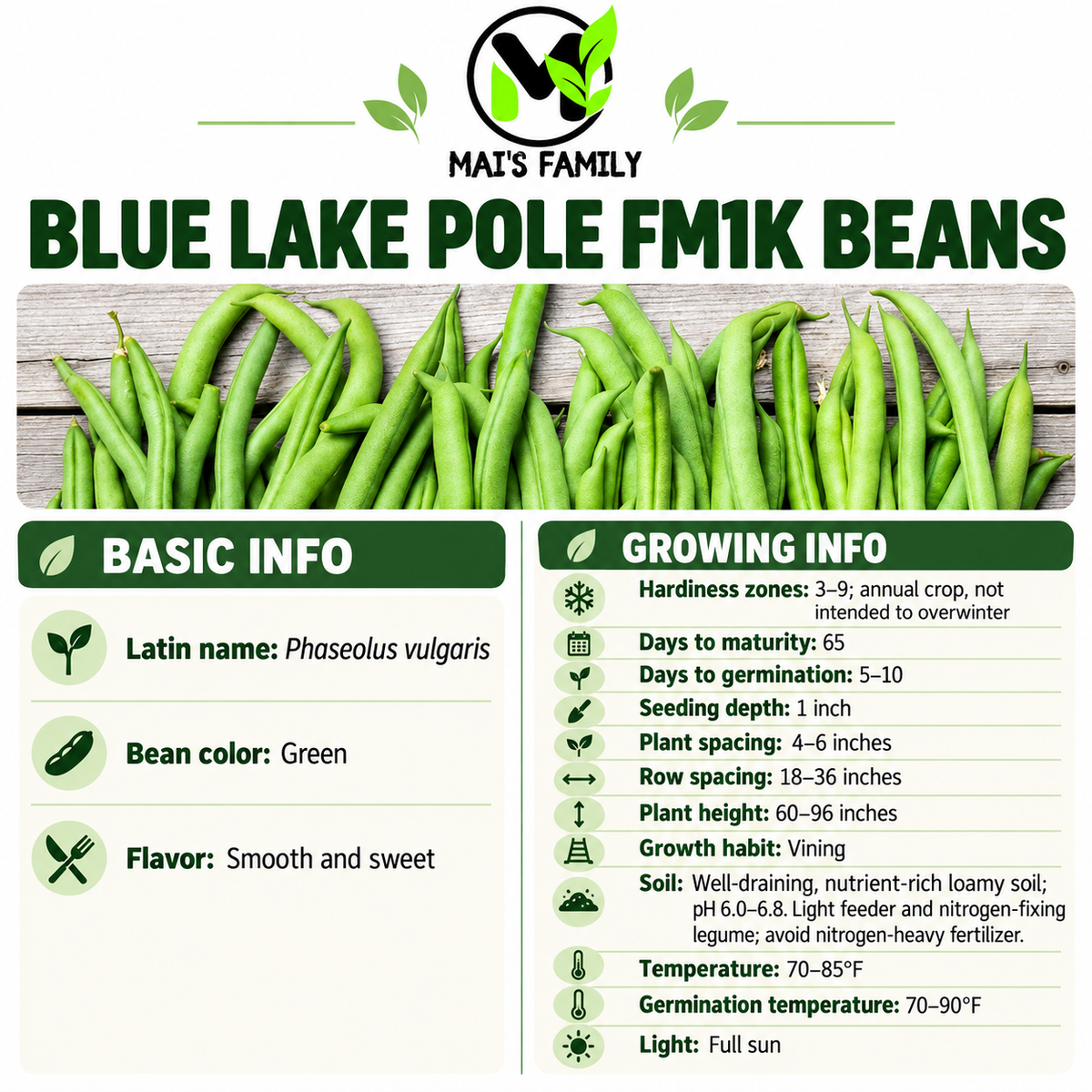 Blue Lake Pole FM1K Bean Seeds – Heirloom Non-GMO Pole Snap Beans