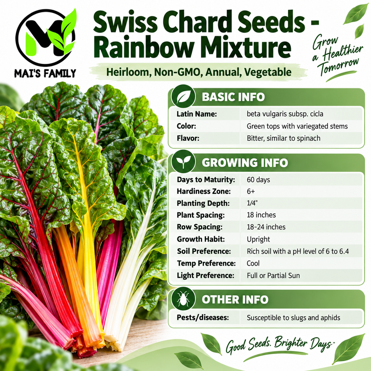 Rainbow Mixture Swiss Chard Seeds – Heirloom, Non-GMO