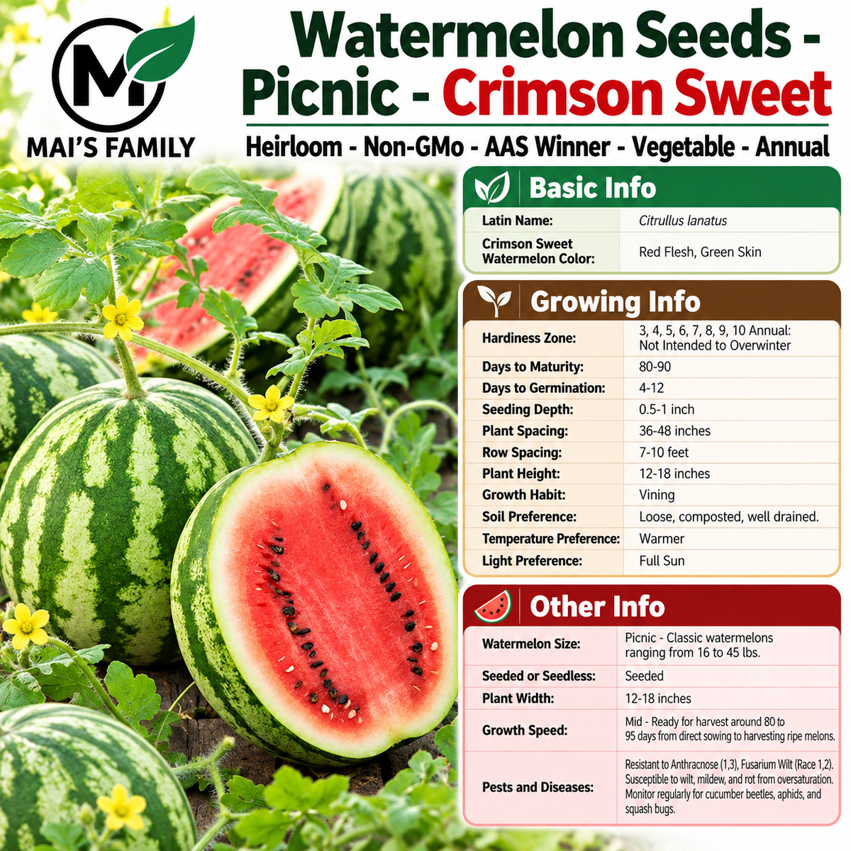 Crimson Sweet Watermelon Seeds – Heirloom Non-GMO AAS Winner