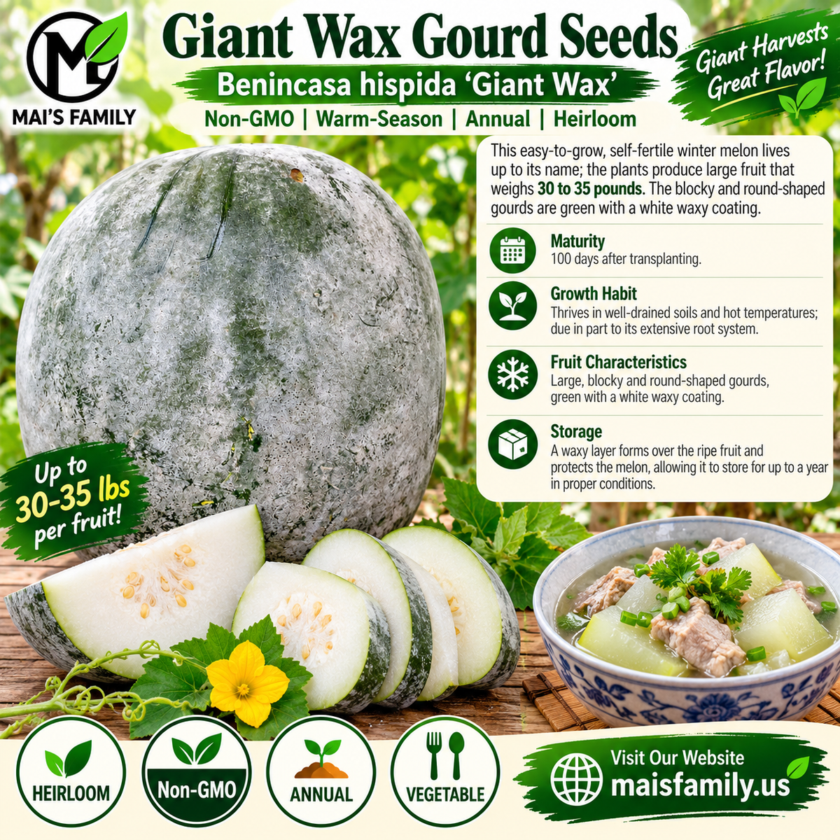 Giant Wax Gourd Seeds – Heirloom Non-GMO Winter Melon