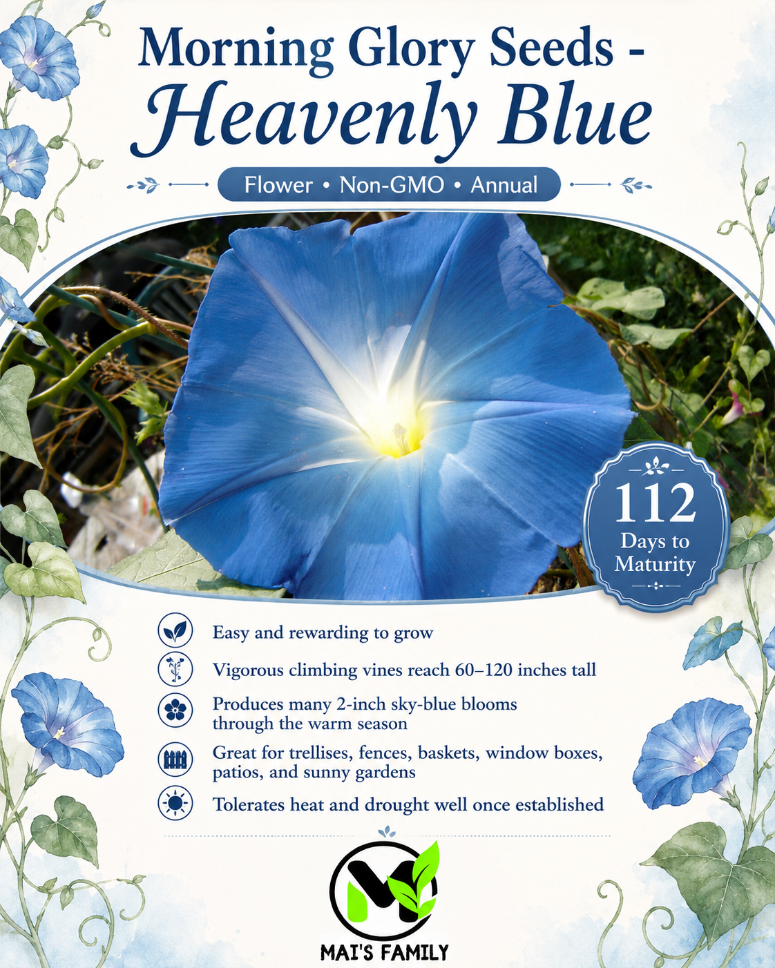 Heavenly Blue Morning Glory Seeds – Non-GMO Annual Climbing Vine