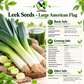 Large American Flag Leek Seeds – Heirloom Non-GMO Open-Pollinated