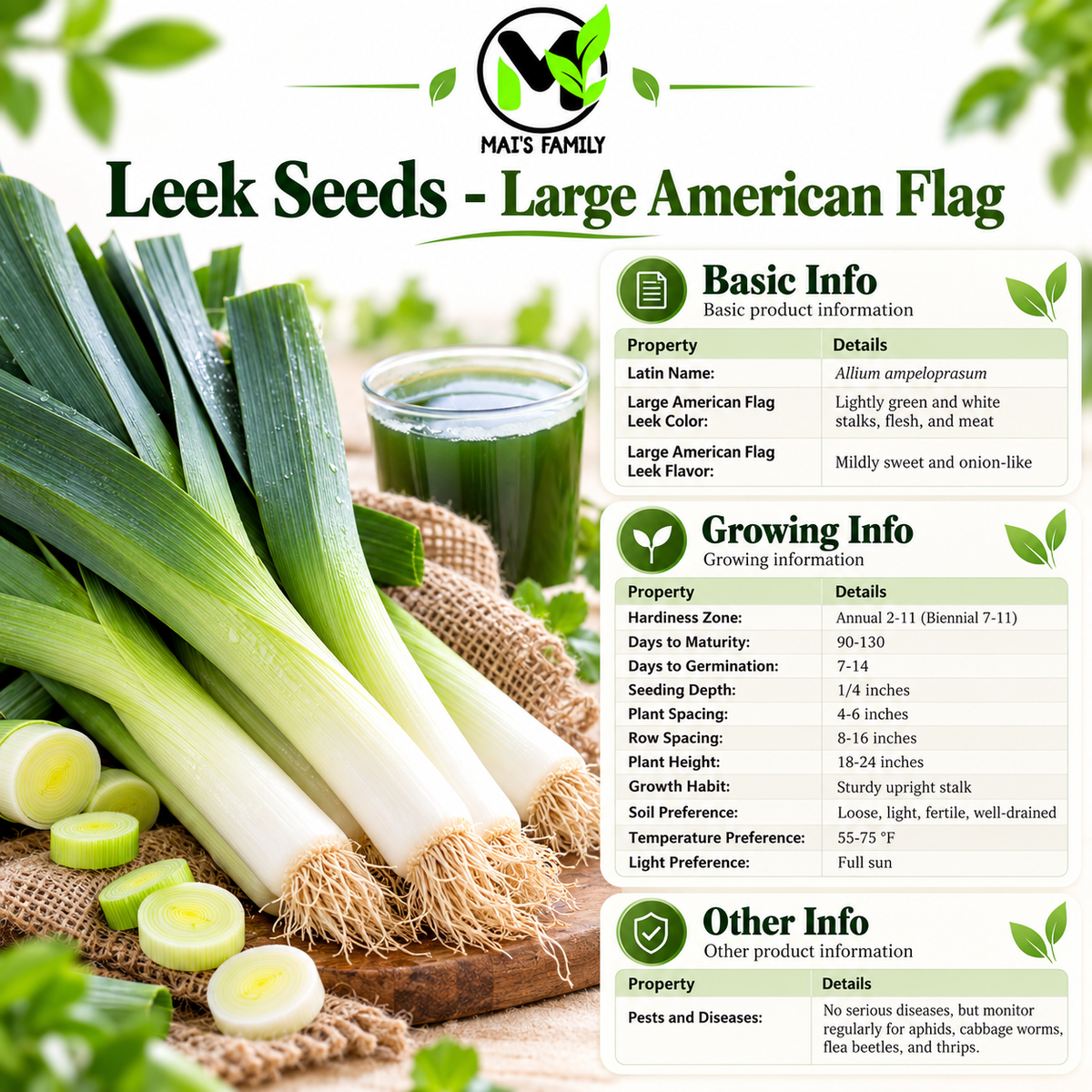 Large American Flag Leek Seeds – Heirloom Non-GMO Open-Pollinated