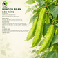 四棱豆 ( Đậu Rồng) 種子 - 傳家寶，非基因