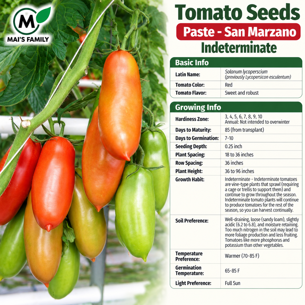 San Marzano Tomato Seeds – Heirloom Non-GMO Indeterminate Paste Tomato
