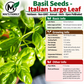 Italian Large Leaf Basil Seeds – Heirloom Non-GMO