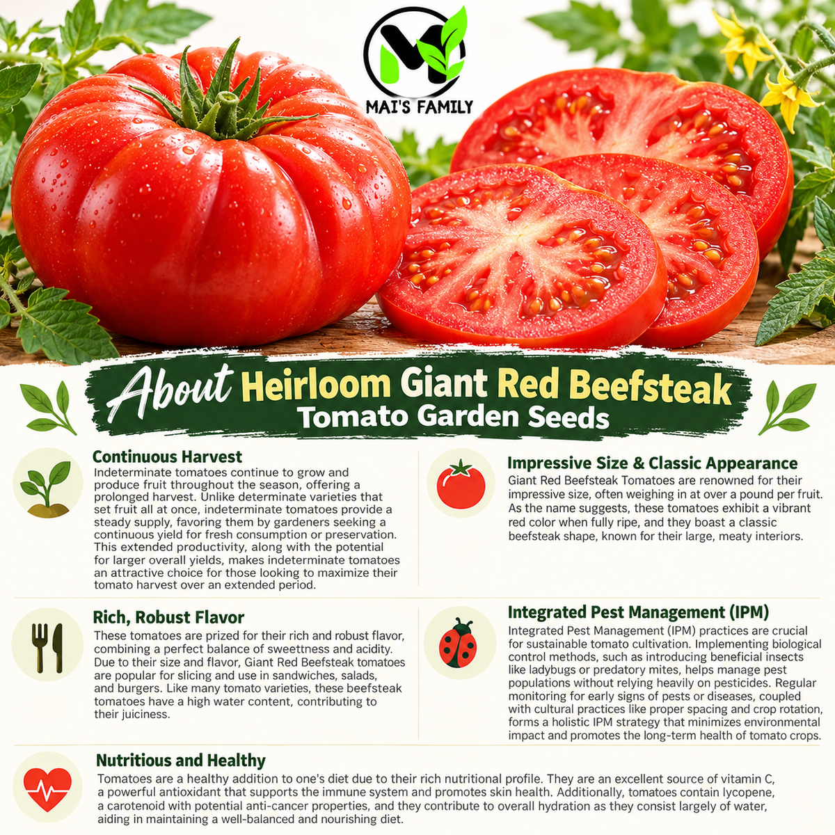 Giant Red Beefsteak Tomato Seeds – Non-GMO Open-Pollinated