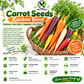 Rainbow Blend Carrot Seeds – Heirloom Non-GMO Colorful Sweet Garden Carrots