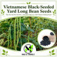 Vietnamese Black-Seeded Yard Long Bean Seeds – Đậu Đũa Hạt Đen