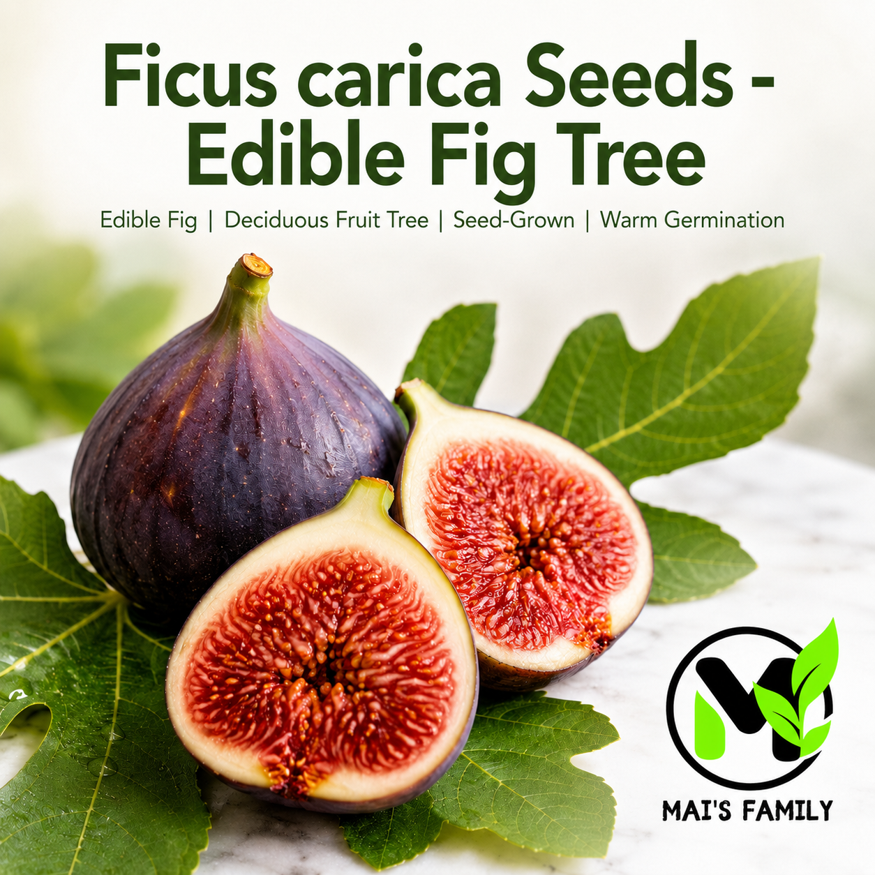 Ficus carica Seeds – Common Fig Deciduous Fruit Tree