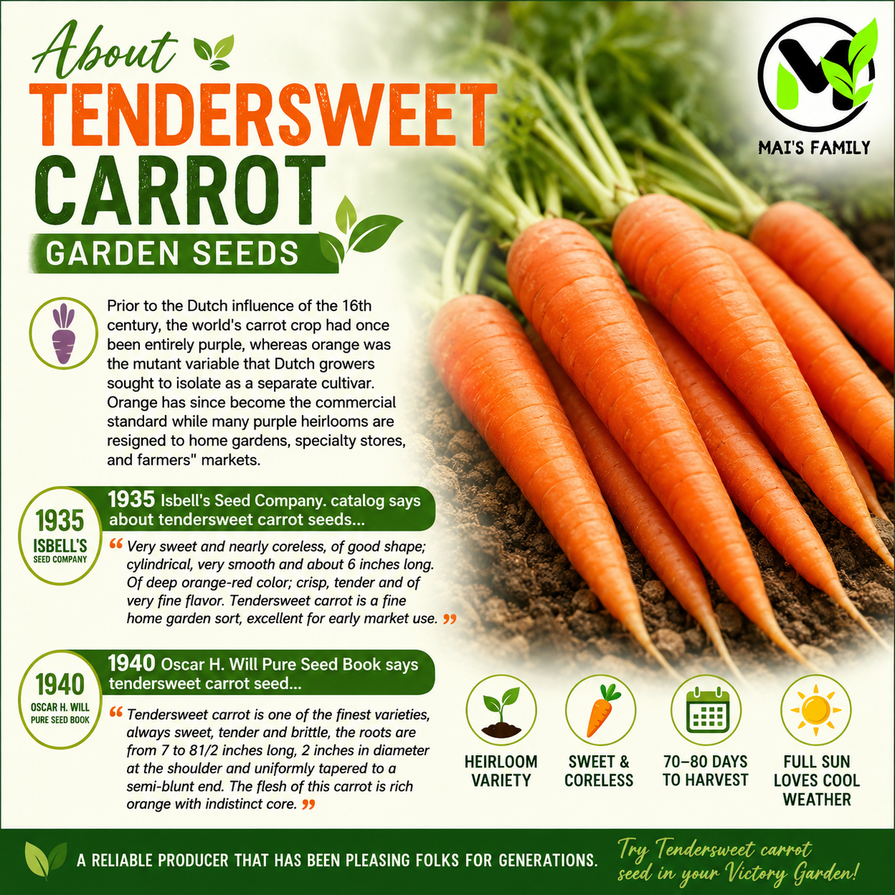 Tendersweet Carrot Seeds – Heirloom Non-GMO
