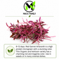 Organic Red Garnet Amaranth Microgreen Seeds – Heirloom Non-GMO