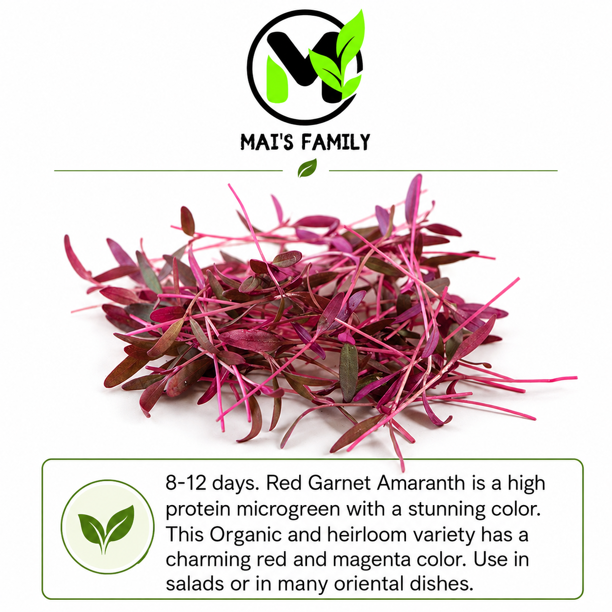 Organic Red Garnet Amaranth Microgreen Seeds – Heirloom Non-GMO