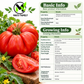 Giant Red Beefsteak Tomato Seeds – Non-GMO Open-Pollinated
