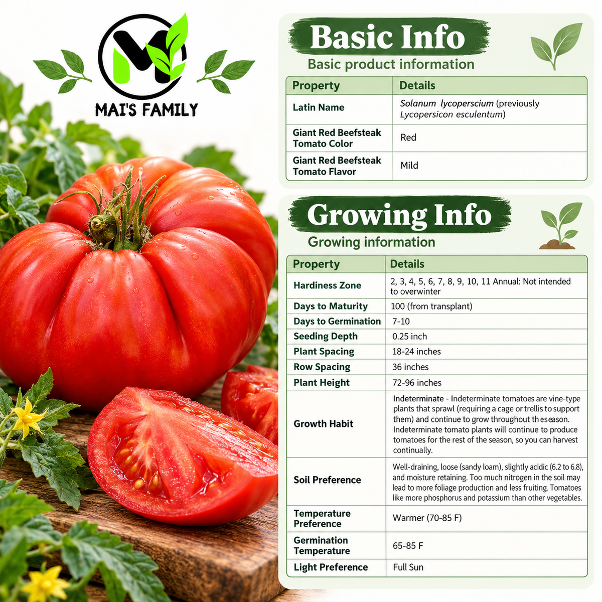 Giant Red Beefsteak Tomato Seeds – Non-GMO Open-Pollinated
