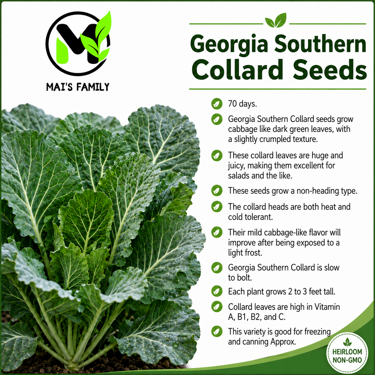 Georgia Southern Collard Green Seeds – Heirloom Non-GMO