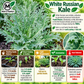 White Russian Kale Seeds – Non-GMO Open-Pollinated