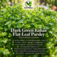 Dark Green Italian Flat Leaf Parsley Seeds – Heirloom Non-GMO