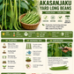 Akasanjaku Yard Long Bean Seeds, Đậu Đũa Leo | Heirloom, Non-GMO Asian Pole Bean