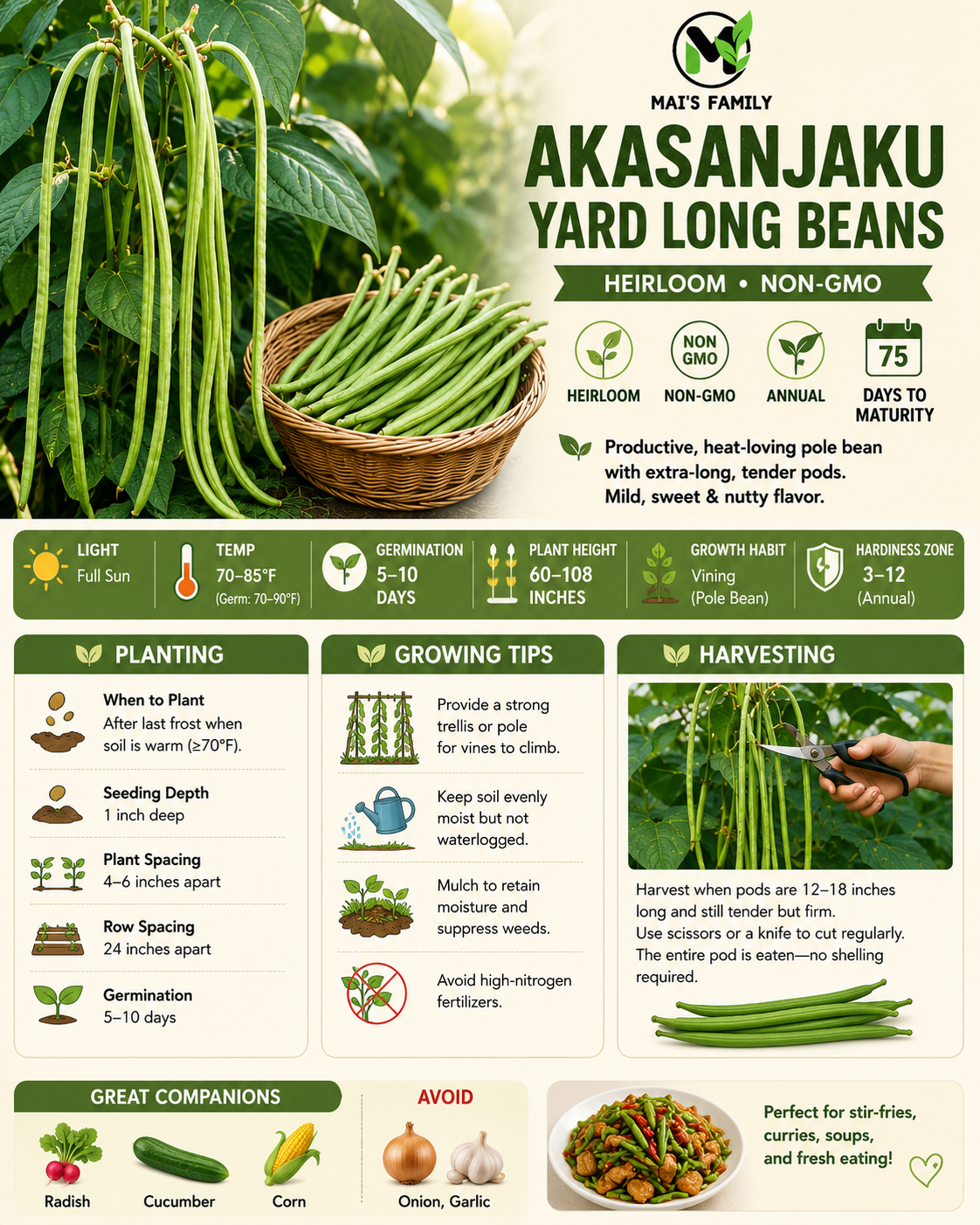 Akasanjaku Yard Long Bean Seeds, Đậu Đũa Leo | Heirloom, Non-GMO Asian Pole Bean