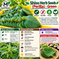 Green Shiso Perilla Seeds – Heirloom Non-GMO Culinary Herb