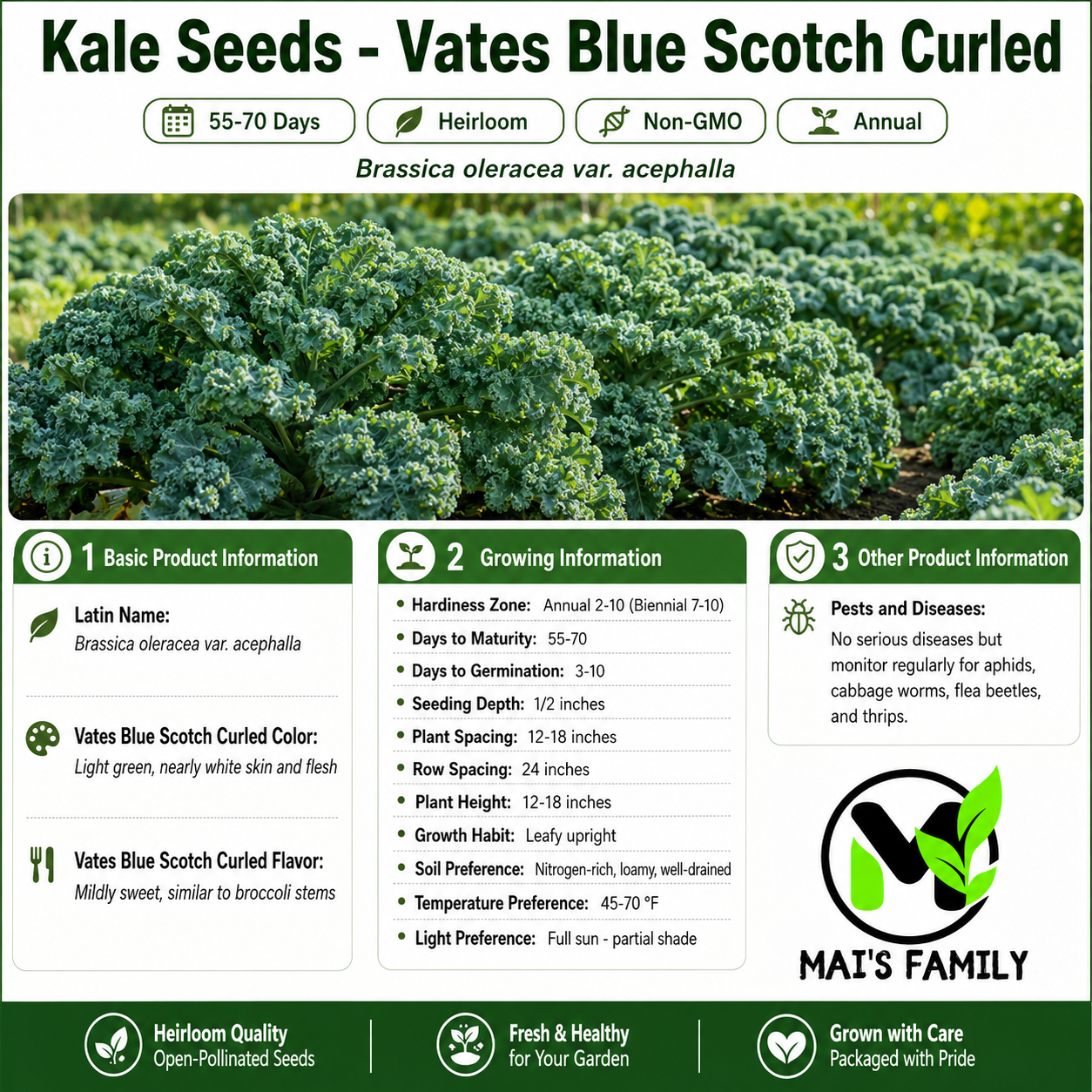 Vates Blue Scotch Curled Kale Seeds – Heirloom, Non-GMO