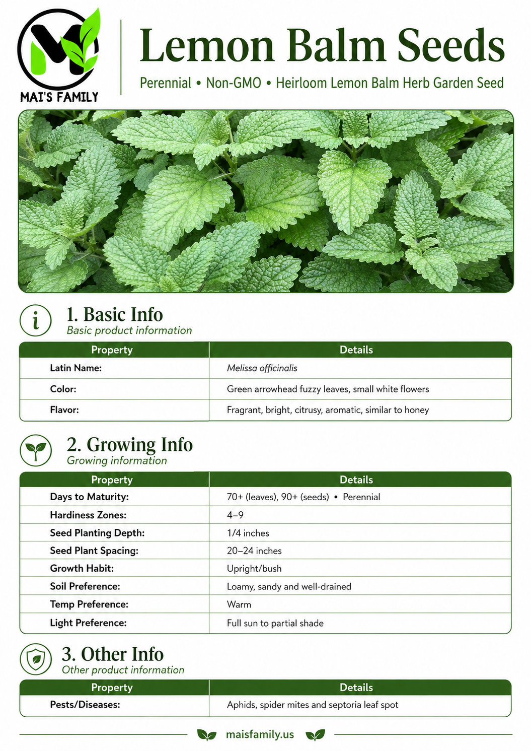 Lemon Balm Seeds – Melissa officinalis Heirloom Non-GMO Perennial Herb