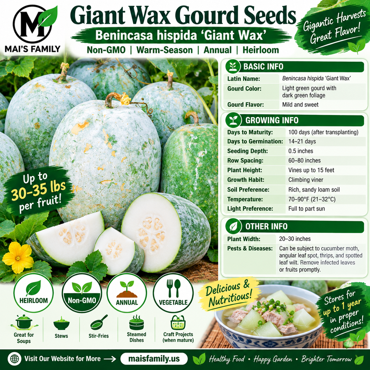 Giant Wax Gourd Seeds – Heirloom Non-GMO Winter Melon