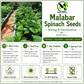 Green Malabar Spinach Seeds – Mồng Tơi Xanh | Heirloom, Non-GMO