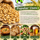 Organic Steptoe Barley – Unhulled Bulk Grain Seeds