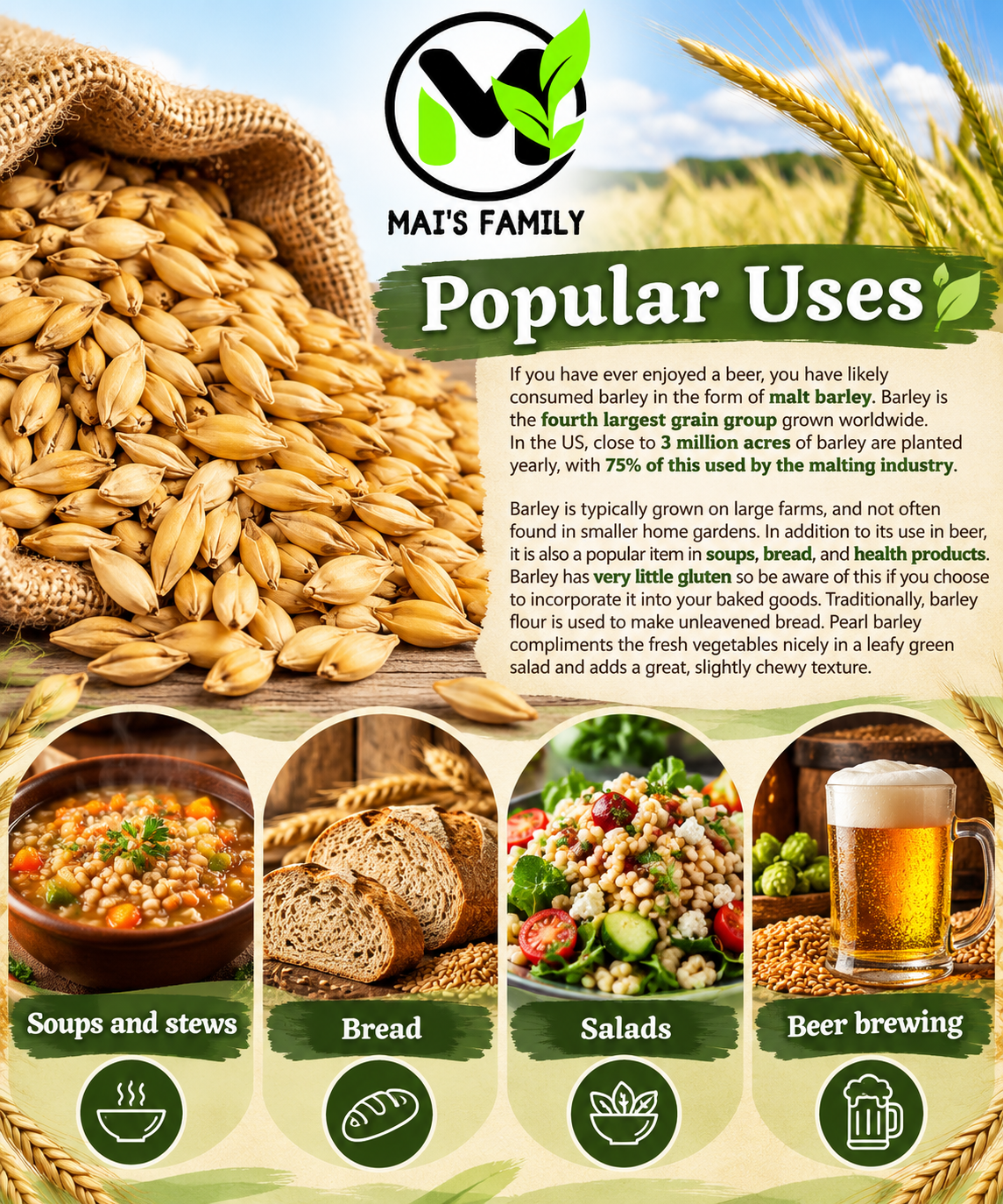 Organic Steptoe Barley – Unhulled Bulk Grain Seeds