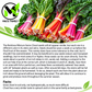 Rainbow Mixture Swiss Chard Seeds – Heirloom, Non-GMO
