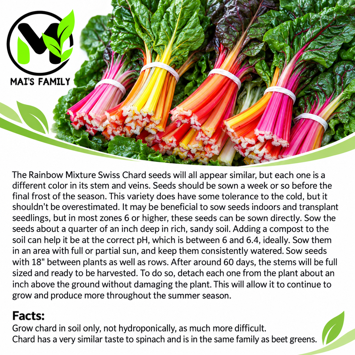 Rainbow Mixture Swiss Chard Seeds – Heirloom, Non-GMO