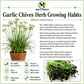 Garlic Chives Seeds – Heirloom Non-GMO Perennial Herb