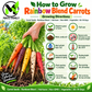 Rainbow Blend Carrot Seeds – Heirloom Non-GMO Colorful Sweet Garden Carrots