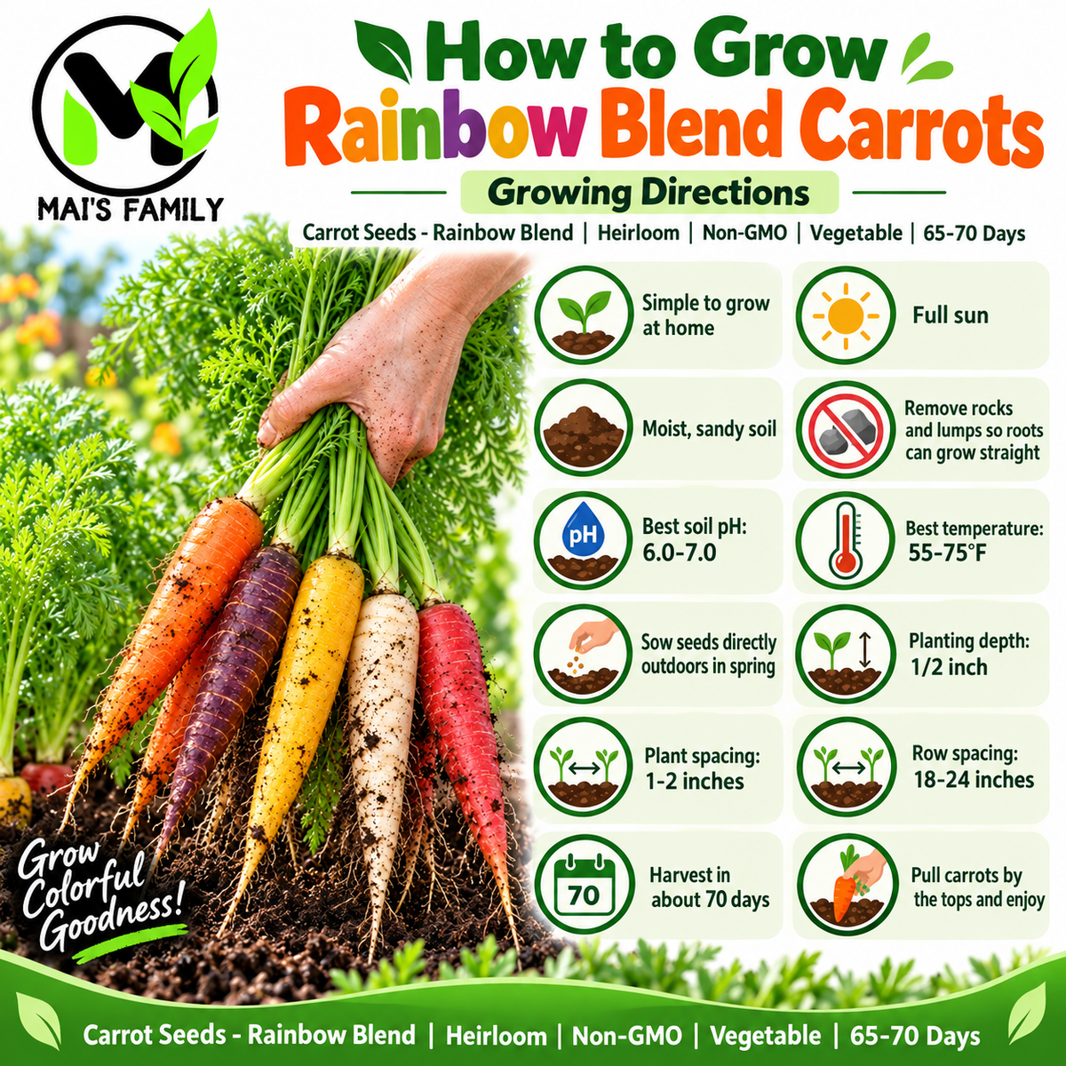 Rainbow Blend Carrot Seeds – Heirloom Non-GMO Colorful Sweet Garden Carrots