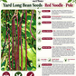 Red Noodle Yard Long Bean Seeds – Heirloom Non-GMO Pole Bean