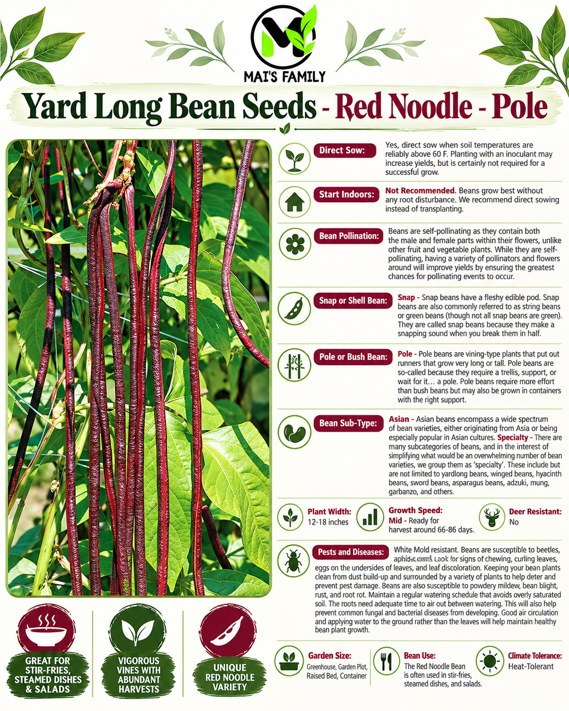 Red Noodle Yard Long Bean Seeds – Heirloom Non-GMO Pole Bean