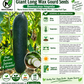Giant Long Wax Gourd Seeds – Long Black-Skin Winter Melon